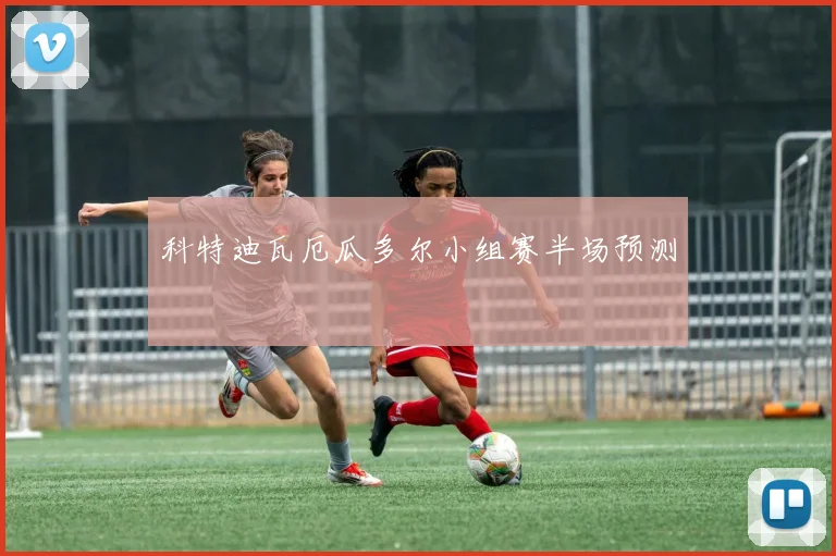 科特迪瓦厄瓜多尔小组赛半场预测
