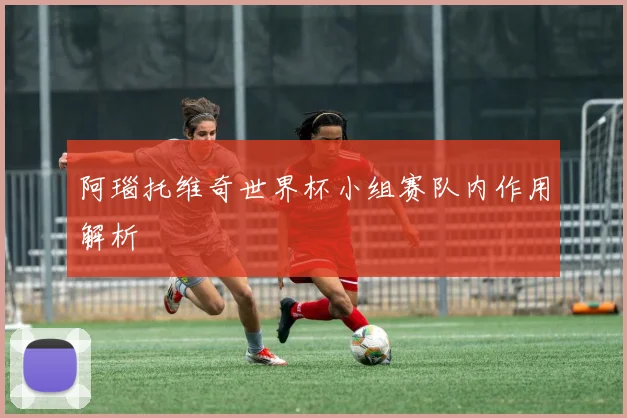 阿瑙托维奇世界杯小组赛队内作用解析