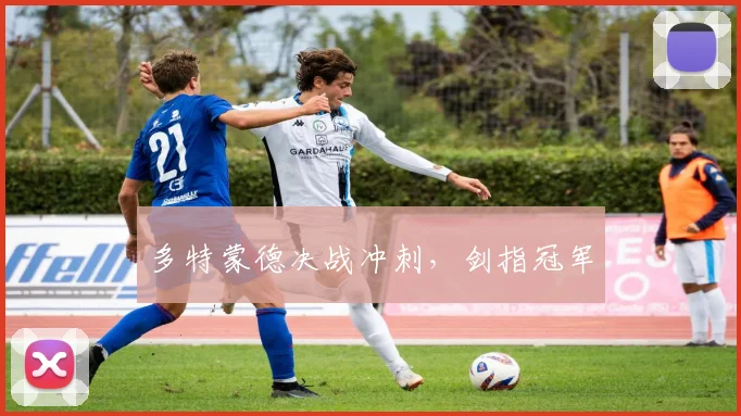 多特蒙德决战冲刺，剑指冠军