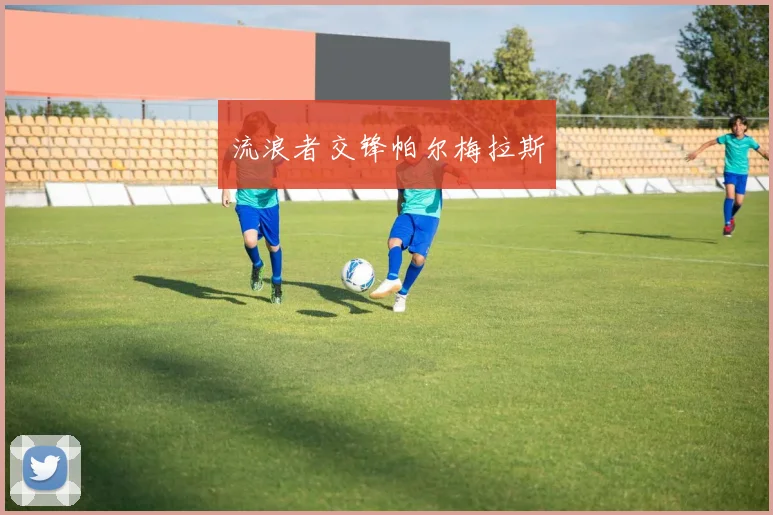 流浪者交锋帕尔梅拉斯