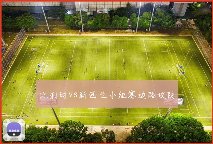 比利时vs新西兰小组赛边路攻防