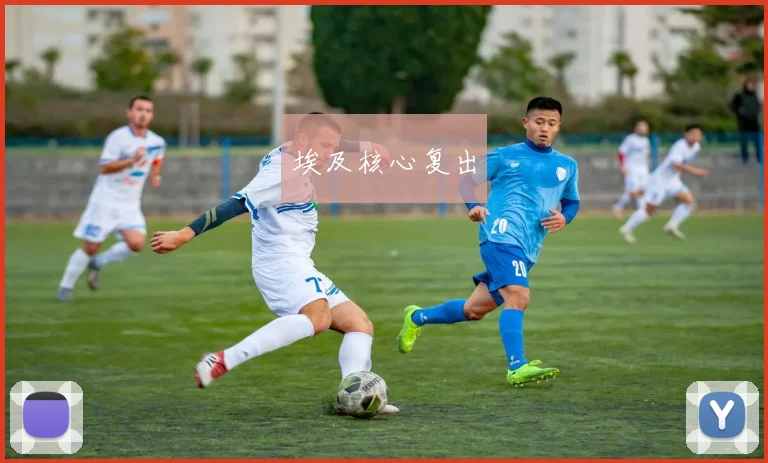 埃及核心复出