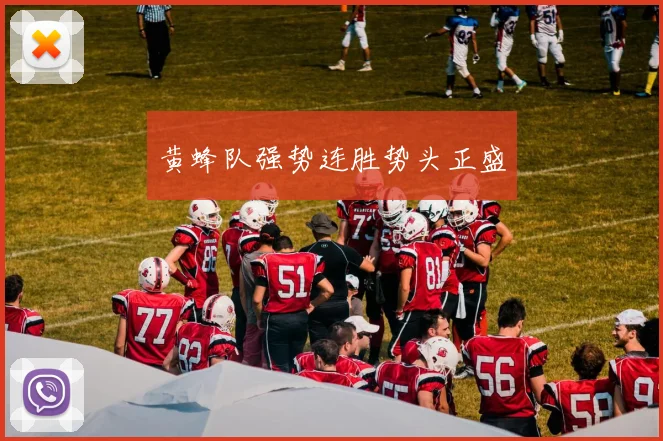 黄蜂队强势连胜势头正盛