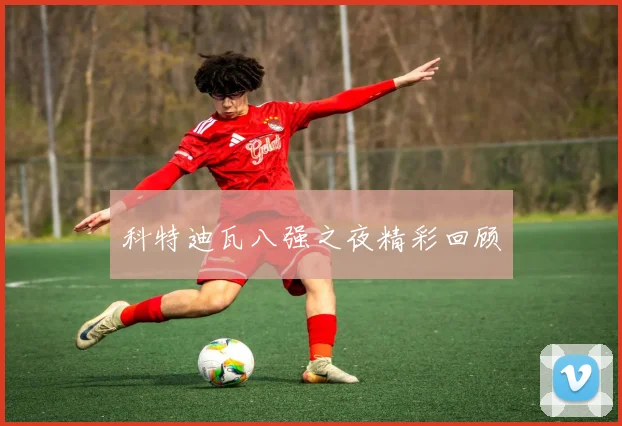 科特迪瓦八强之夜精彩回顾