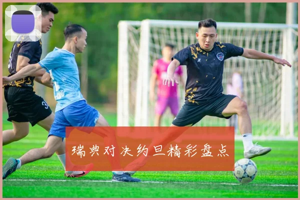 瑞典对决约旦精彩盘点