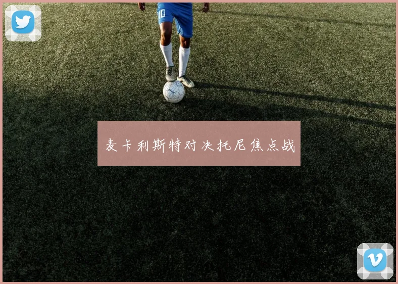 麦卡利斯特对决托尼焦点战