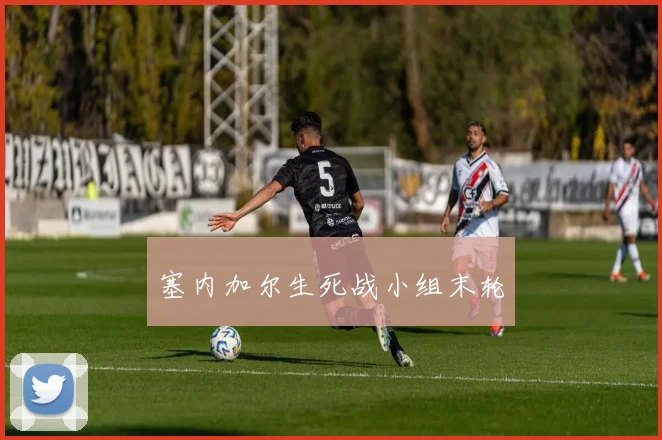 塞内加尔生死战小组末轮