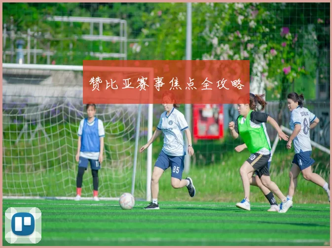 赞比亚赛事焦点全攻略
