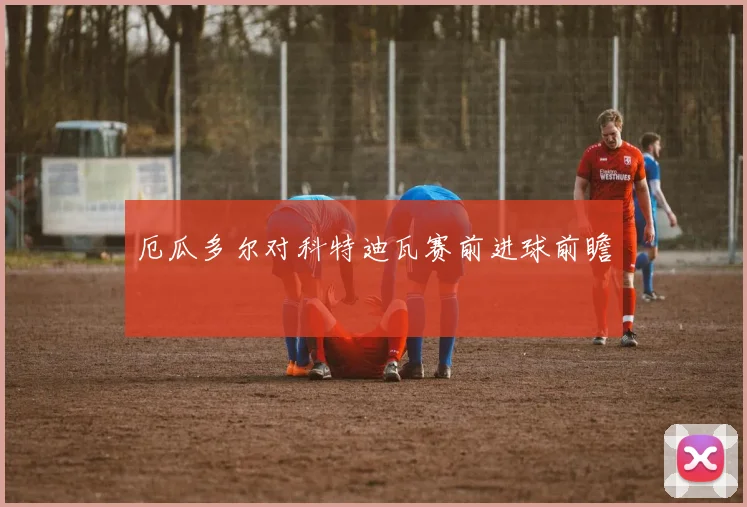 厄瓜多尔对科特迪瓦赛前进球前瞻