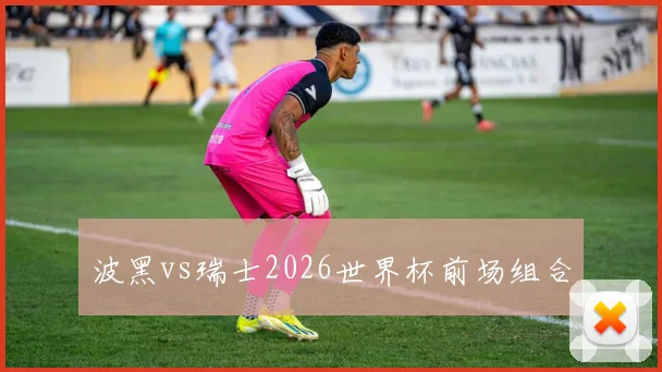 波黑vs瑞士2026世界杯前场组合
