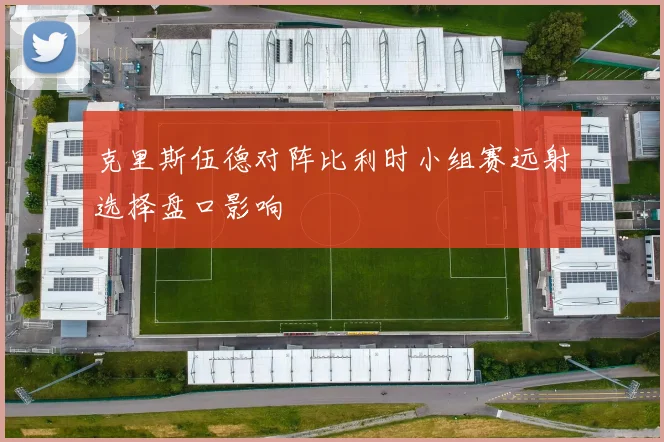 克里斯伍德对阵比利时小组赛远射选择盘口影响