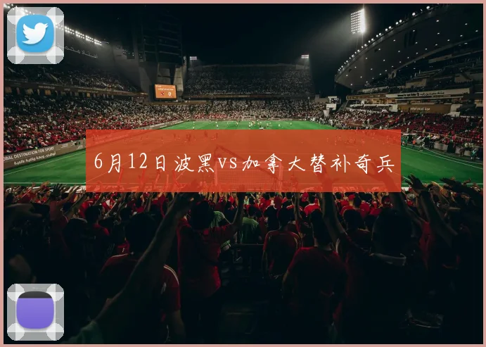 6月12日波黑vs加拿大替补奇兵