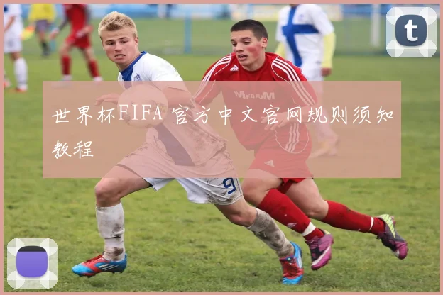 世界杯FIFA 官方中文官网规则须知教程