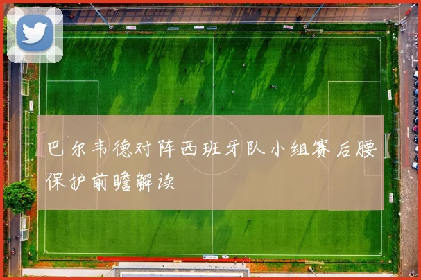 巴尔韦德对阵西班牙队小组赛后腰保护前瞻解读