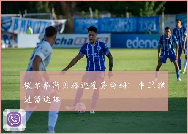 埃尔弗斯贝格迎霍芬海姆:中卫推进留退路