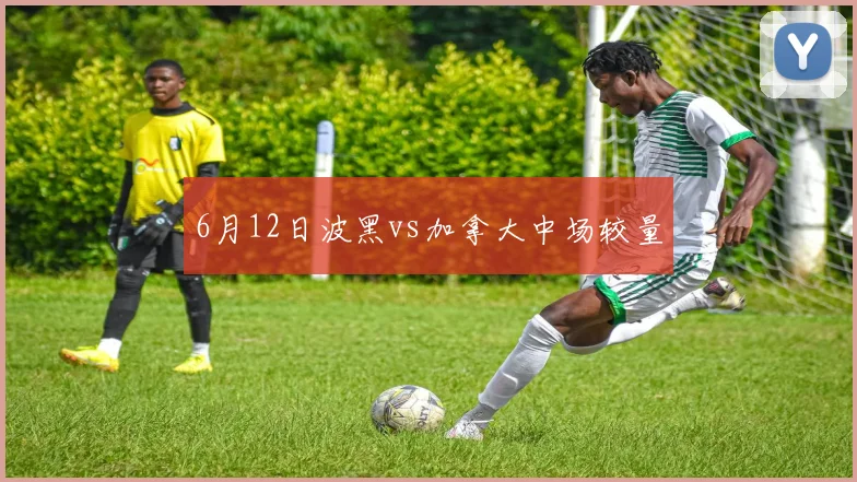 6月12日波黑vs加拿大中场较量